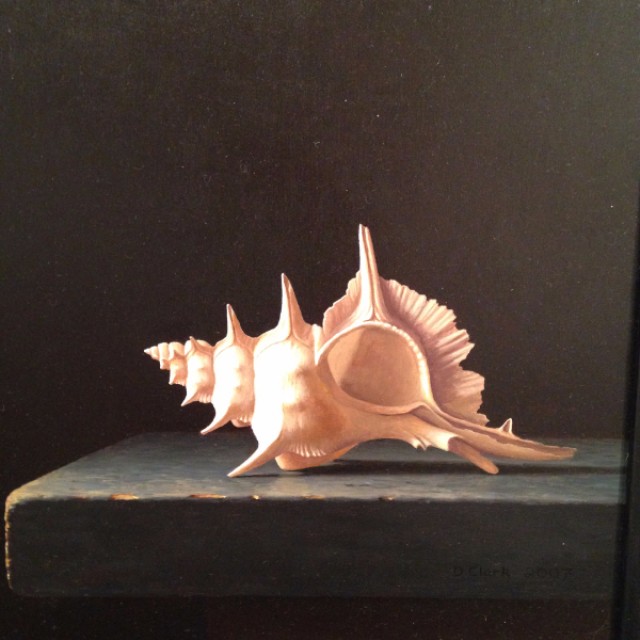 Siratus Alabaster Shell