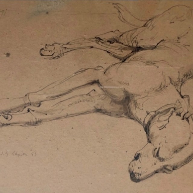 Resting Dog, 1953 (sold)