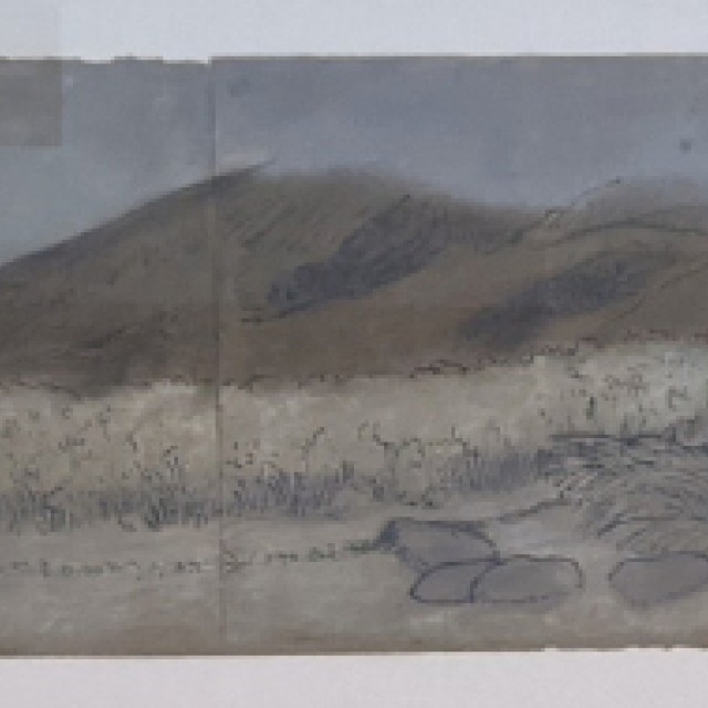 Sheep on a Hillside with Mist, 1975