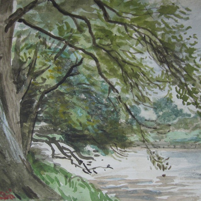 Trees by River
