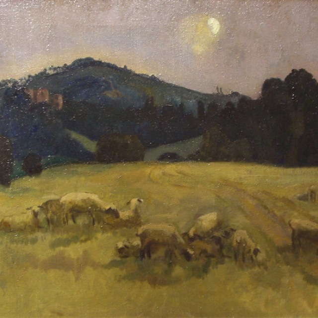 Field with Sheep