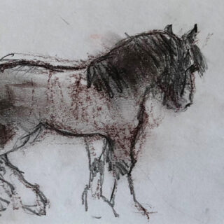 horse