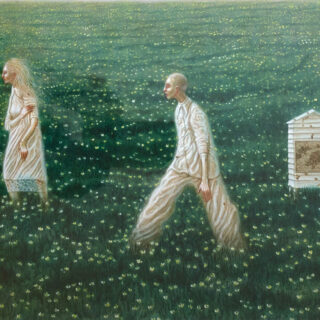 figures in a field